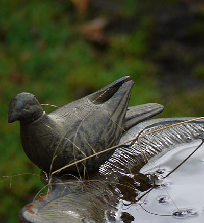 bird-bath-detail.jpg