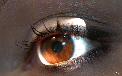 eye5.jpg