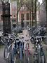 Amsterdam Bikes.jpg